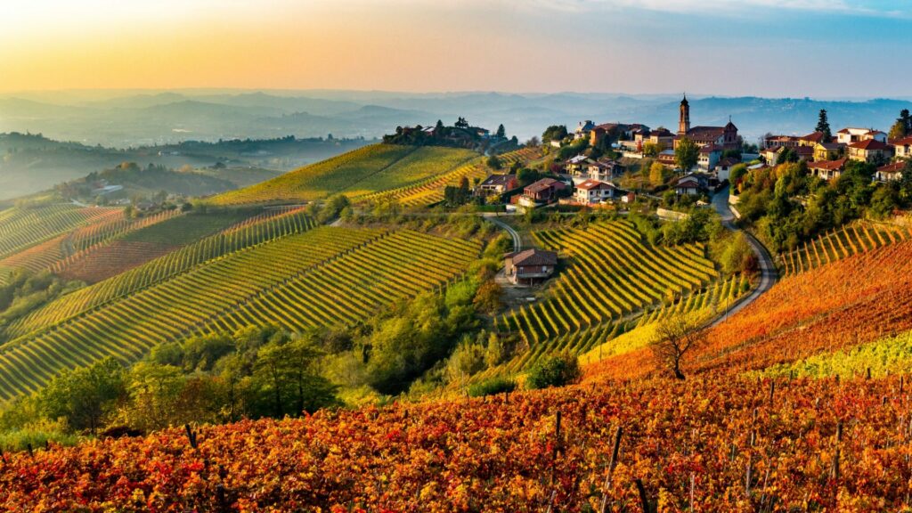 LANGHE